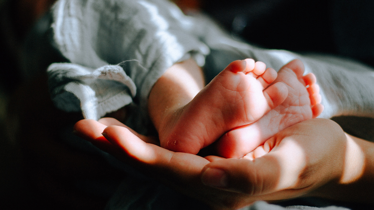 Michigan pro-life groups seek to intervene in defense of law protecting unborn children